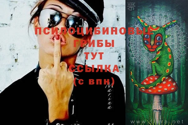 а пвп мука Козельск