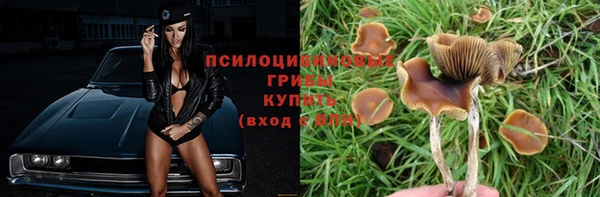 гидра Баксан
