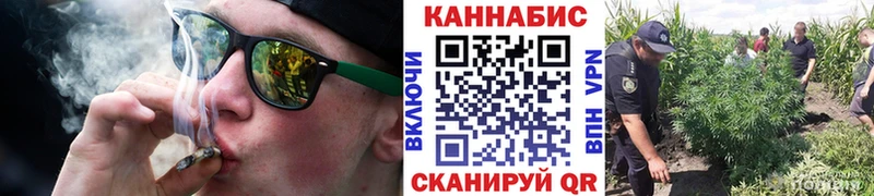 Марихуана семена  купить закладку  Гдов 